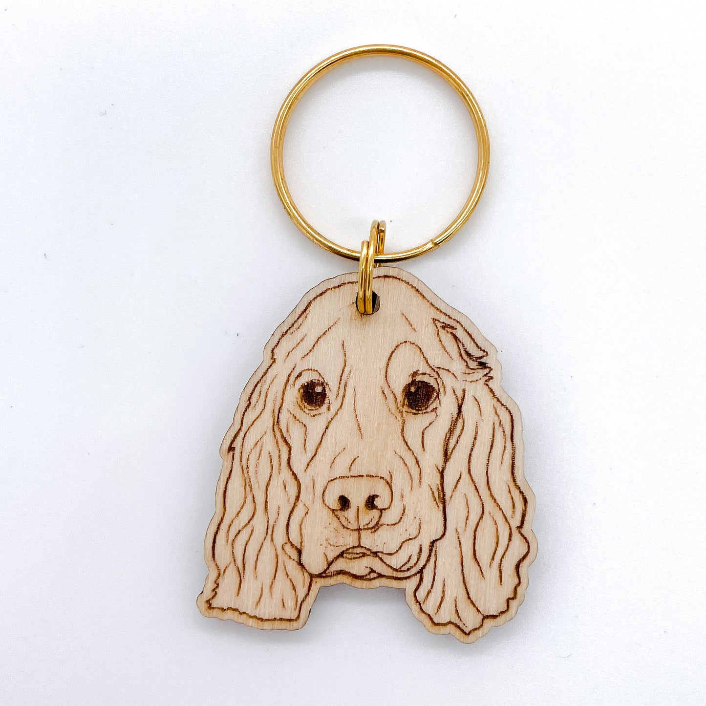 Cocker Spaniel
