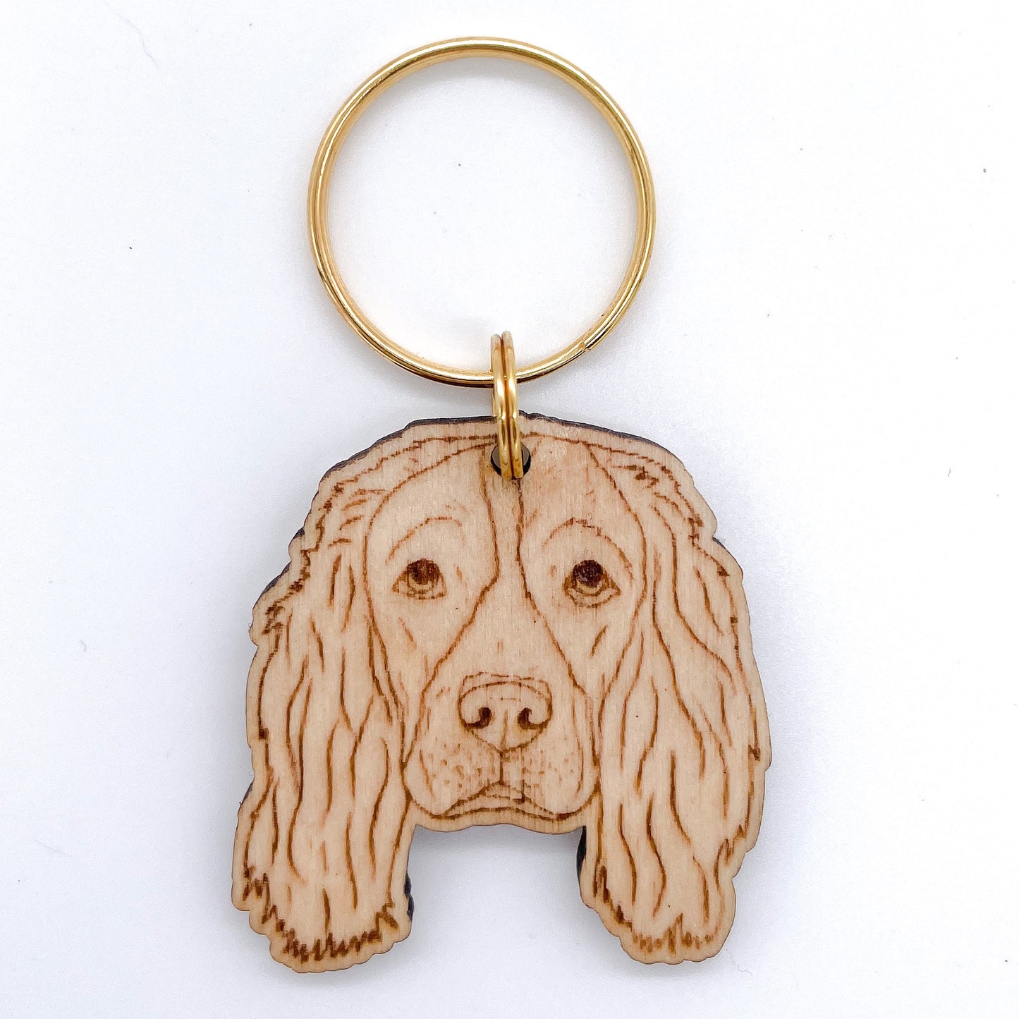 Springer Spaniel