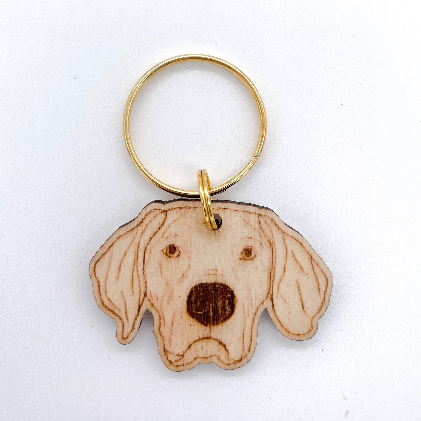 Weimaraner