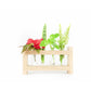 Ainsley | Propagation Station