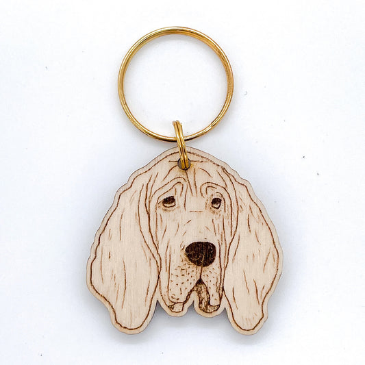 Bloodhound