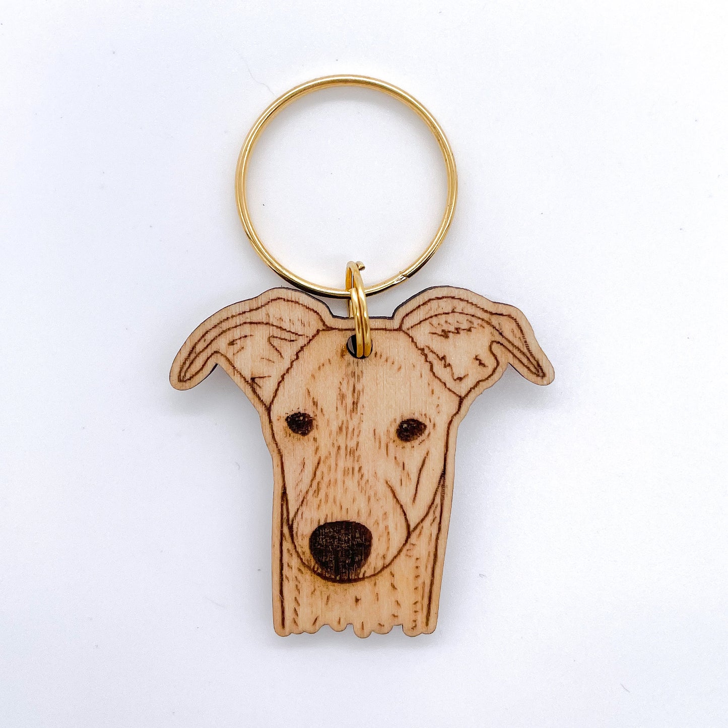 Whippet