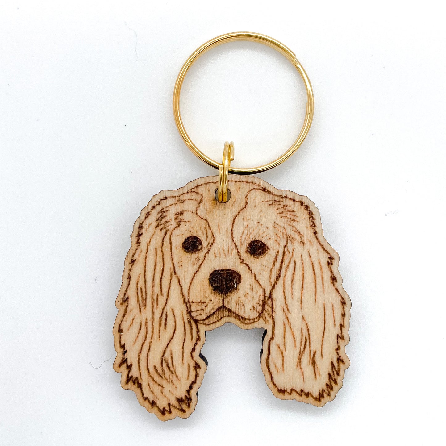 Cavalier King Charles Spaniel