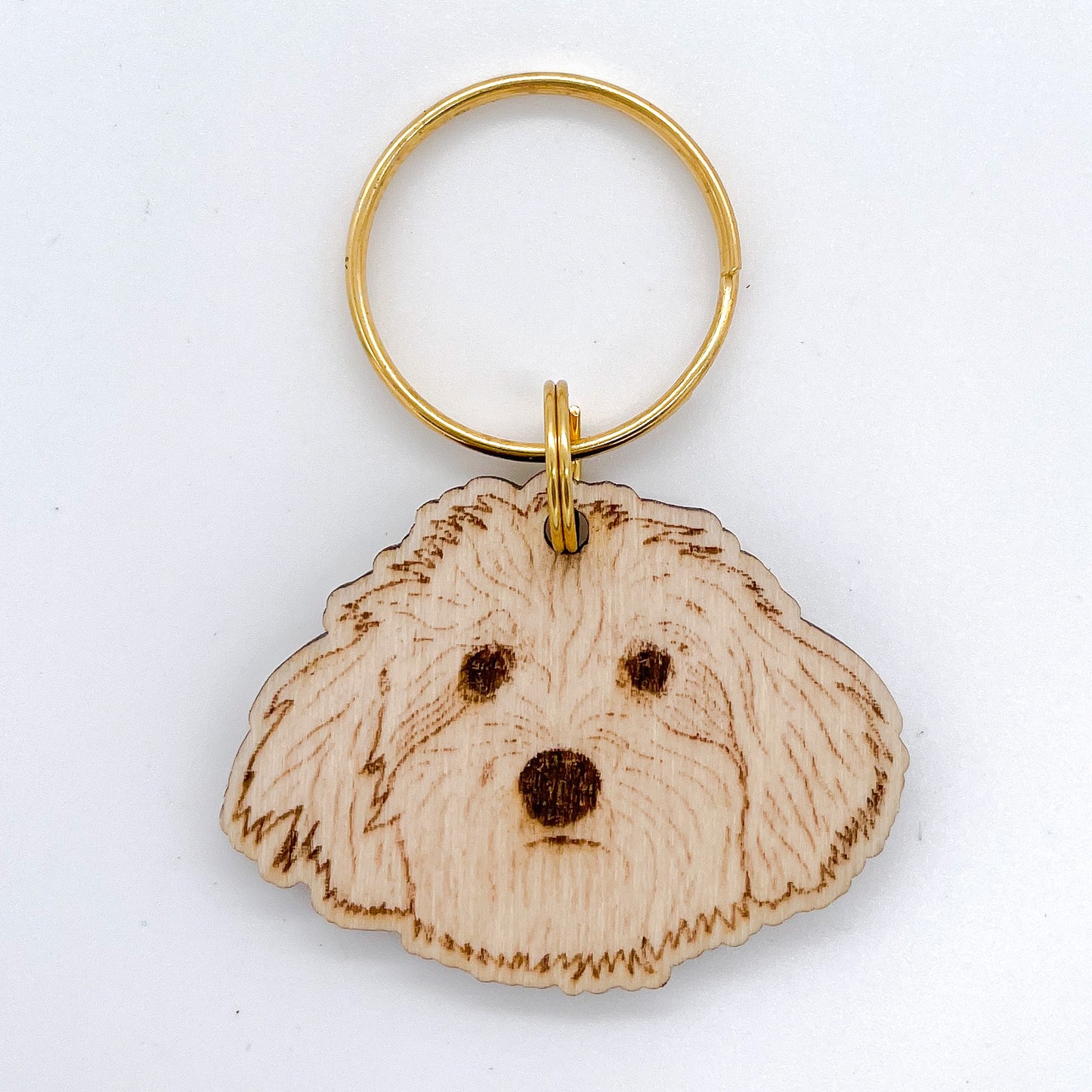 Bichon