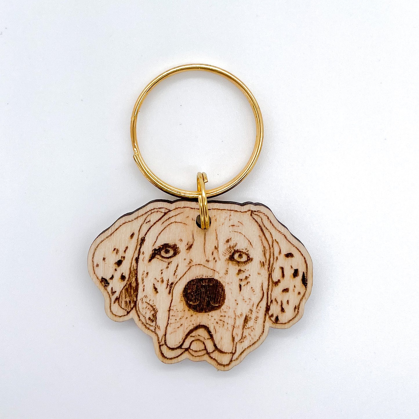 Catahoula Leopard