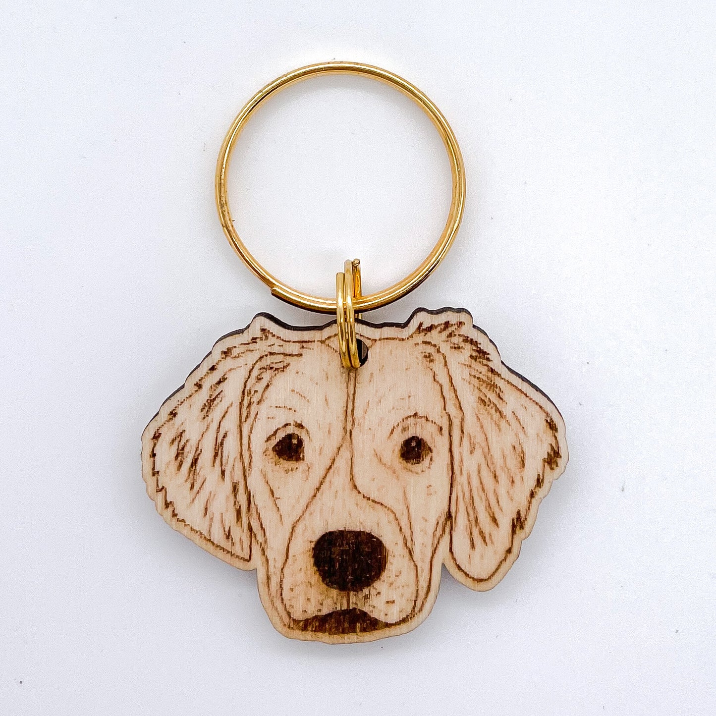 Brittany Spaniel