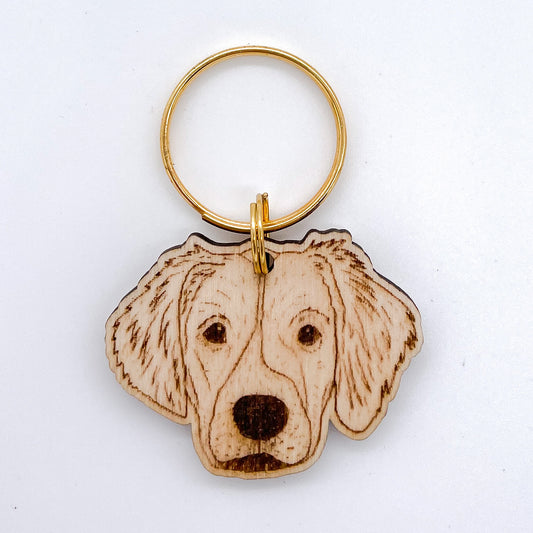 Brittany Spaniel
